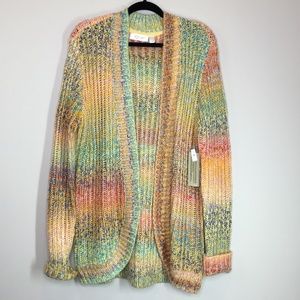 New RD Style Cardigan Rainbow Chunky Knit Sweater